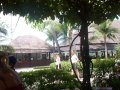 DCP01600.JPG